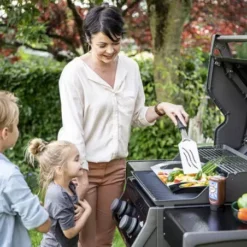 Barbecue Gaz Rogue 365 R 2 Brûleurs - NAPOLEON -Grill Adepro Boutique barbecue gaz rogue 365 serie r 2 bruleurs 2